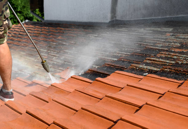 Best Best Pressure Washing Companies  in Gulf Park Estates, MS